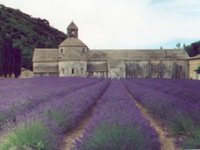 Veduta del monastero di Senanque